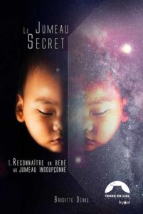 Le livre de Brigitte Denis Le Jumeau Secret 1. Reconnaître un bébé au jumeau insoupçonné